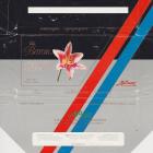 SCN_0201