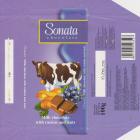 SCN_0917