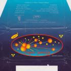 SCN_0107