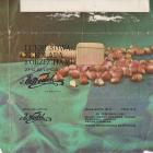 SCN_0037 (7)