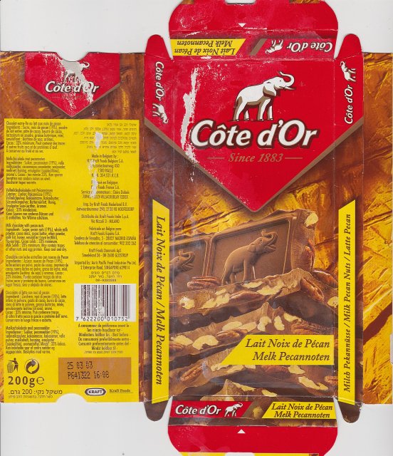 Cote dOr pion 10 lait noix de pecan melk pecannoten