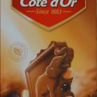 Cote dOr pion 12 lait raisins noisettes_cr