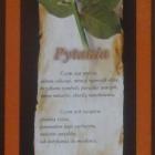 Terravita duze pion pytania 0
