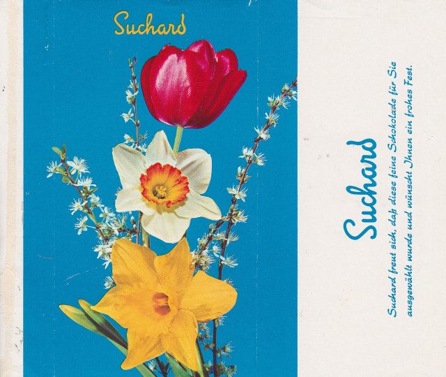 Suchard_0519